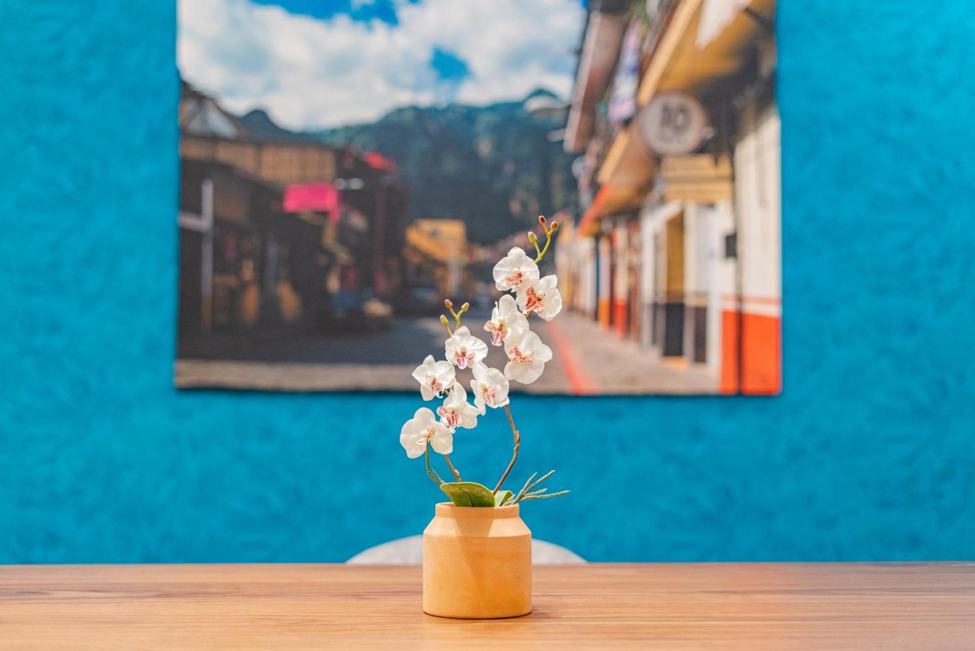 Hipodromo Condesa Apartments By Vh Mexico City Rum bild